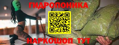 скорость Будённовск